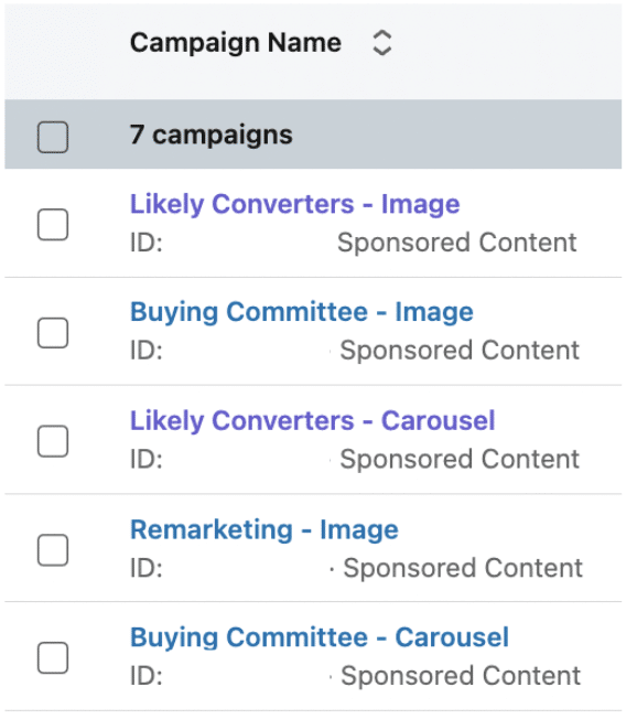 LinkedIn Carousel Ads Campaign Organization